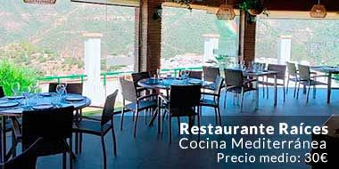 Restaurante Raices Malaga